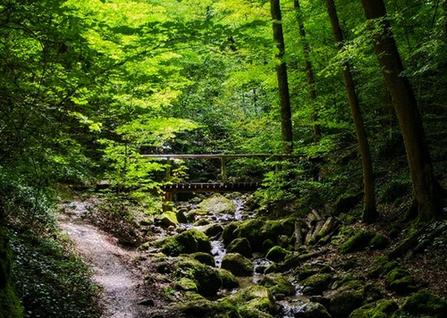 zipfel_bruecke.jpg